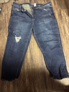 Terra & Sky Dark Blue Distressed Boyfriend Jeans